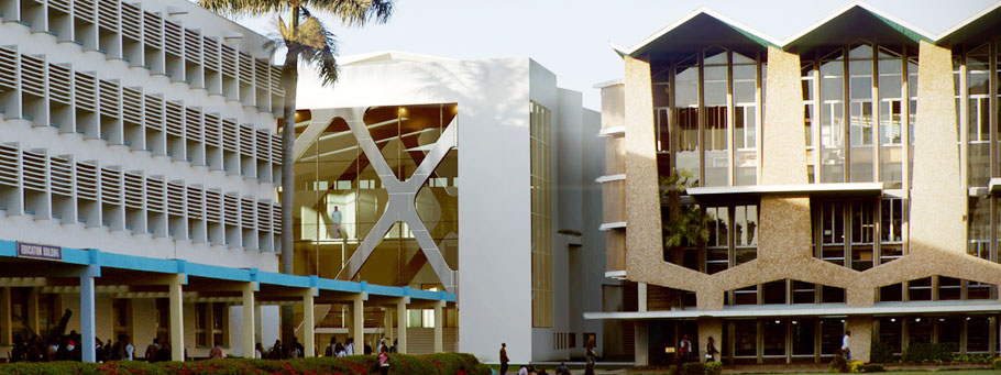 Image Title 13