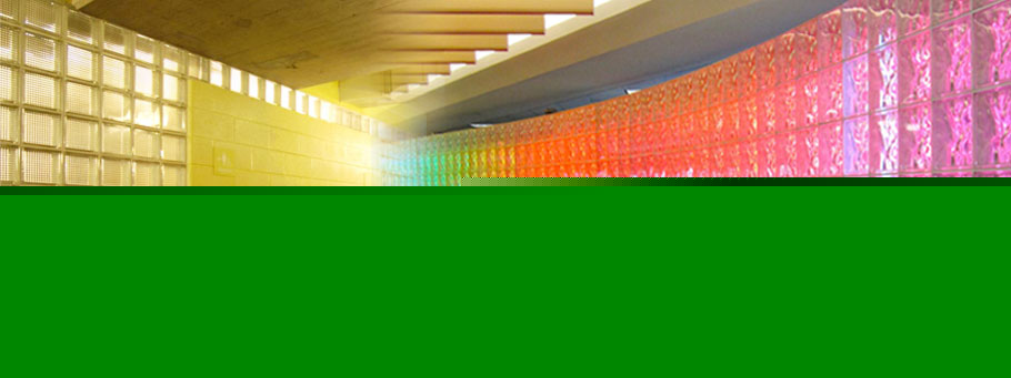 Image Title 4